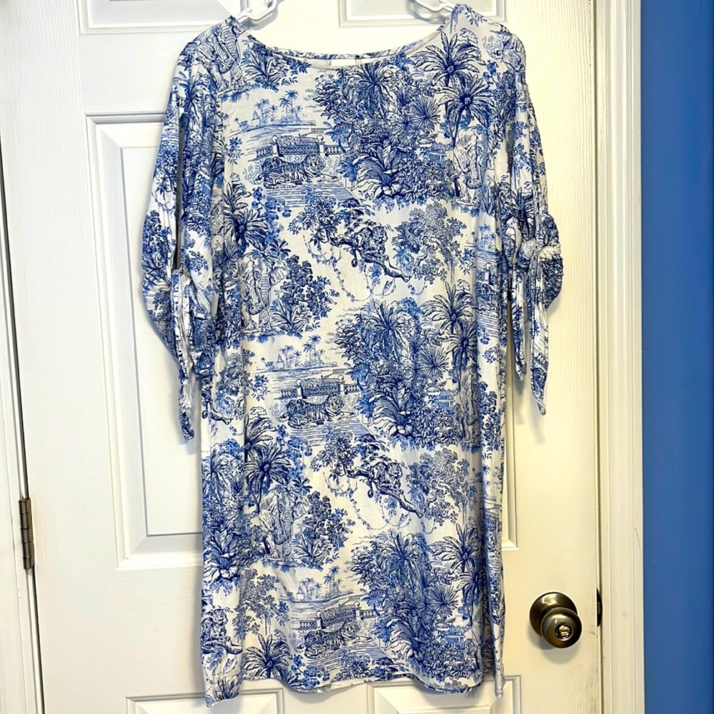 Blue Toile Dress